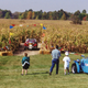 Illustration for article titled Sports Cars Race Through Corn (Maize) Maze